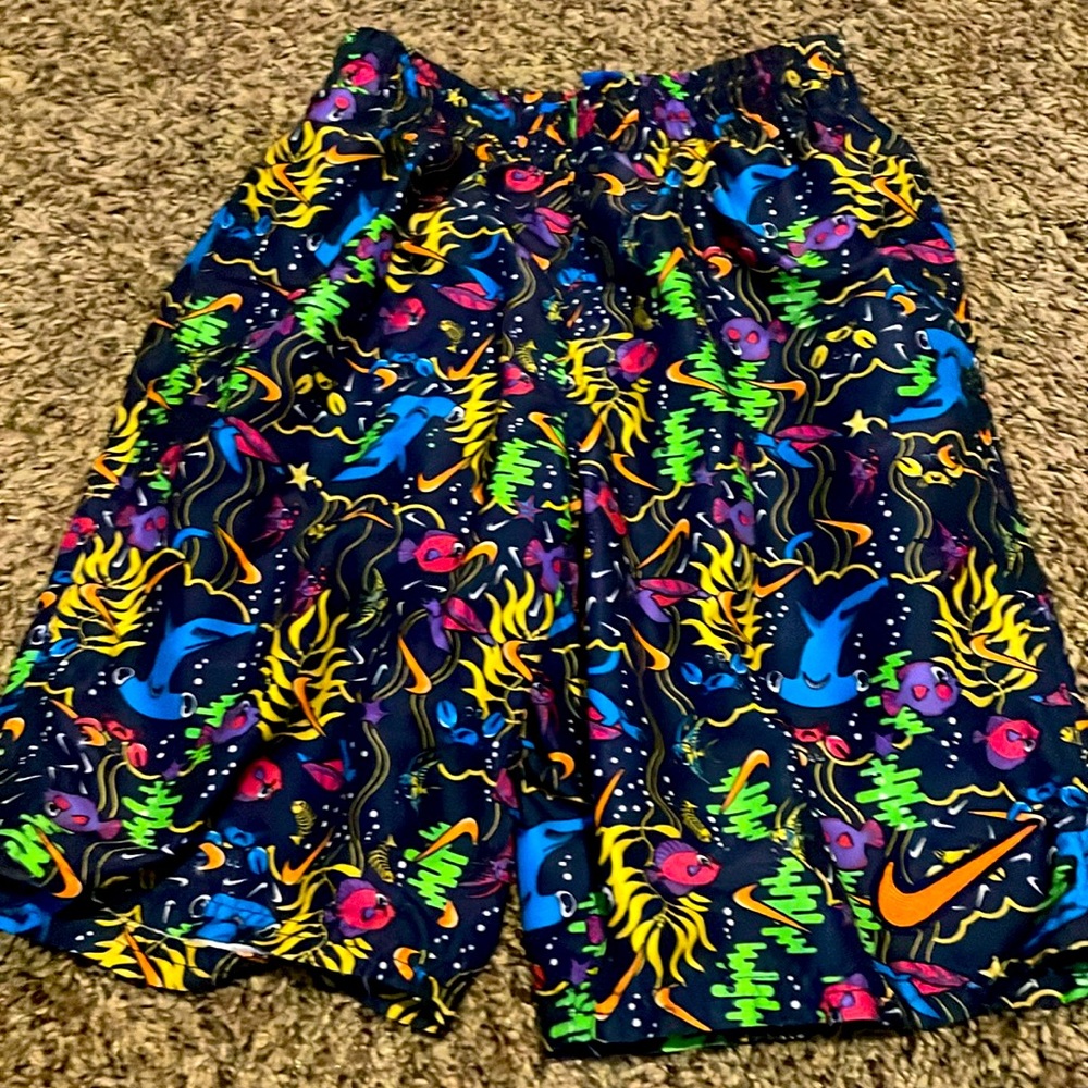 Nike Swim Trunks